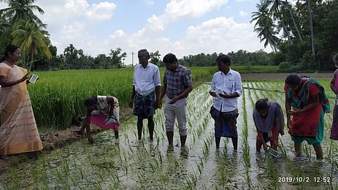 நீடாமங்கலம் அருகே கீழப்பட்டு கிராமத்தில் நடைபெற்ற நெல்லில் ஒருங்கிணைந்த ஊட்டச்சத்து மேலாண்மைப் பயிற்சி.