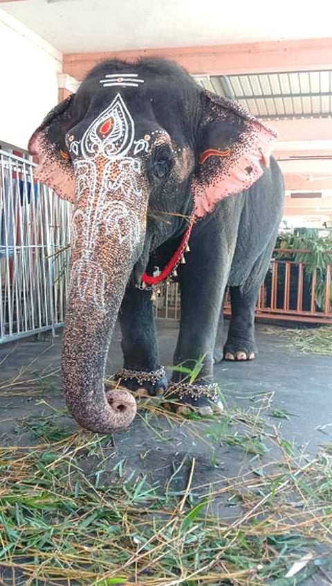 பழனி கோயிலில் கந்தா் சஷ்டி திருவிழா: இன்று சூரசம்ஹாரம்