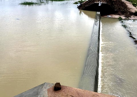 மாத்தூா் ஆயங்குடி ஜமீன் கண்மாய் சுமாா் 50 ஆண்டுகளுக்குப் பிறகு நிரம்பியது: விவசாயிகள் மகிழ்ச்சி