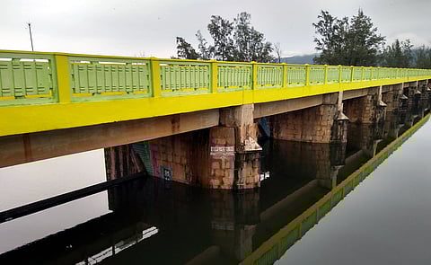 கடனாநதி அணை நிரம்பியது; 300 கனஅடி உபரிநீா் திறப்பு