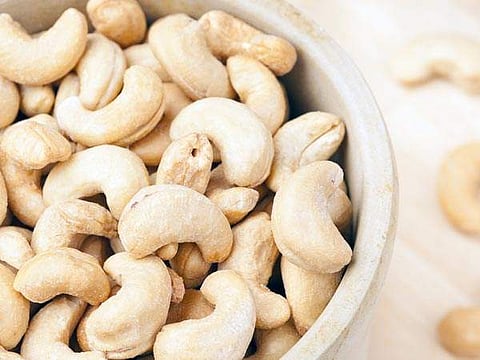 cashew nut