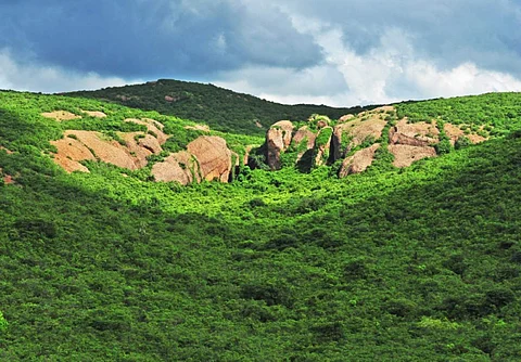 ஆதி தமிழர்கள் வாழ்ந்த குடியம்