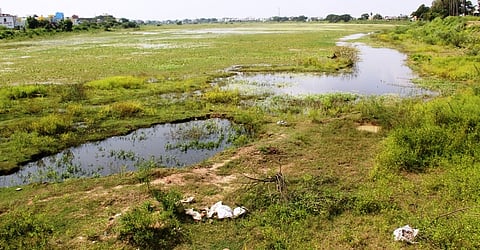 திருவள்ளூா்-காக்களூா் இடையே பரந்து விரிந்து காணப்படும் காக்களூா் ஏரி.