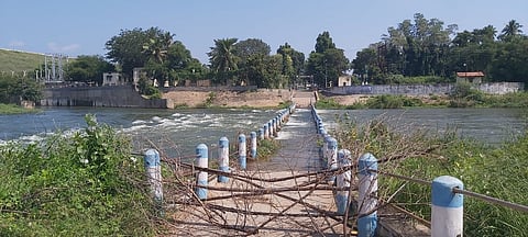 வைகை அணையில் முள்செடிகளால் அடைக்கப்பட்டுள்ள தரைப்பாலம்.