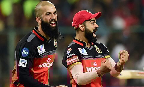 ஆர்சிபி அணி வெற்றி பெற நாங்களும் நன்கு விளையாட வேண்டும்: வெளிநாட்டு வீரர் ஒப்புதல்