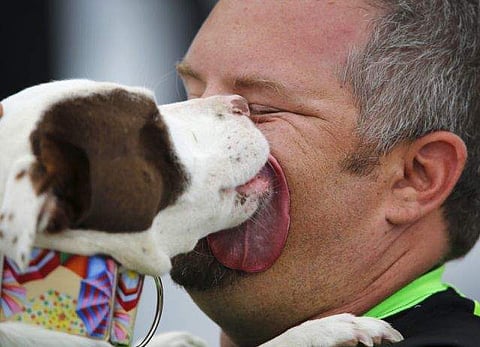 Pet Dog Licking Man