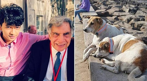 RATAN TATA WITH SHANTHANU NAIDU