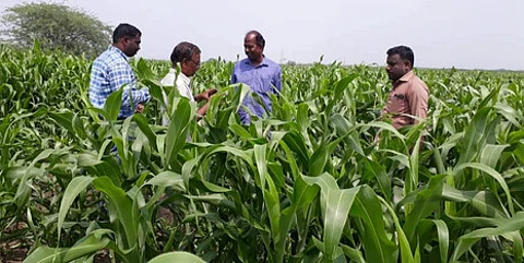 தமிழகம் உள்ளிட்ட மாநிலங்களில் விவசாய முறையில் மாற்றம்: ஐநா உணவுத் திட்ட பிரதிநிதிகள் ஆலோசனை
