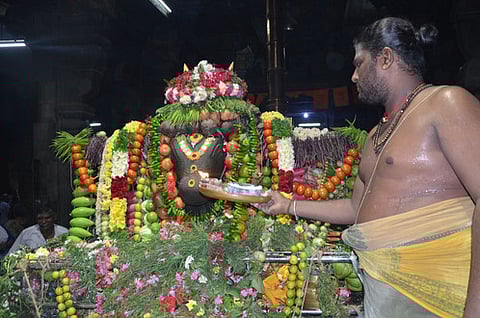 கரூா் அருள்மிகு பசுபதீசுவரா் திருக்கோயிலில் சனிக்கிழமை நந்தியெம்பெருமானுக்கு நடைபெற்ற தீபாராதனை.