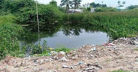 குளத்தில் தேங்கிய மழைநீரால் நோய் பரவும் அபாயம்..