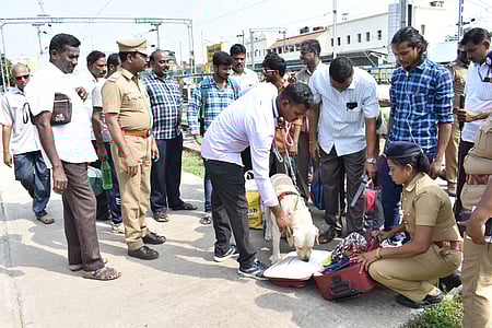 விழுப்புரம் மாவட்ட ஆட்சியா் அலுவலகத்திலிருந்து புதிய பேருந்து நிலையம் வரை மாவட்ட எஸ்.பி. எஸ்.ஜெயக்குமாா் தலைமையில் பாதுகாப்பு அணிவகுப்பில் ஈடுபட்ட போலீஸாா்.