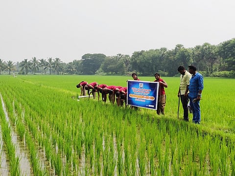 ne_ad_agribund_0911chn_100