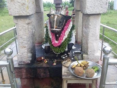 சிறப்பு அலங்காரத்தில் நந்தியம்பெருமான்.