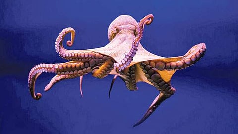 கருவூலம்