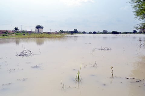 குடிமராமத்து பணிக்குப் பின் தாதம்பட்டி கண்மாய் நிரம்புகிறது: கிராம மக்கள், விவசாயிகள் மகிழ்ச்சி