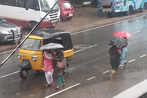 tn rain