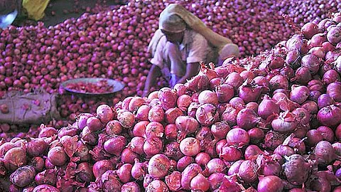 வெங்காயம் விலை