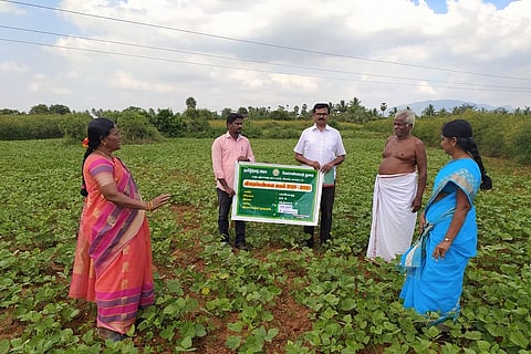 மகுடஞ்சாவடி வட்டாரத்தில் ஆய்வு மேற்கொண்ட வேளாண் இணை இயக்குநா் க.கமலா.