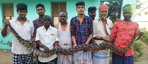 முக்கண்ணாமலைப்பட்டியில் பிடிப்பட்ட மலைபாம்புடன் அப்பகுதி மக்கள்.