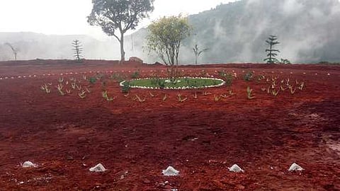 கொல்லிமலையில் புதிதாக அமையும் சுற்றுச்சூழல் பூங்கா.