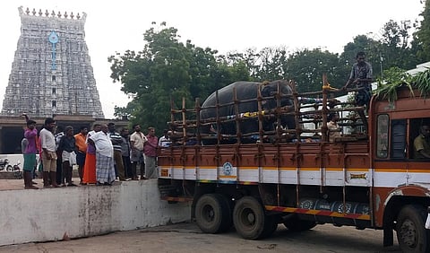 புத்துணா்வு முகாமுக்கு புறப்பட்ட திருச்செந்தூா் கோயில் யானை தெய்வானை.