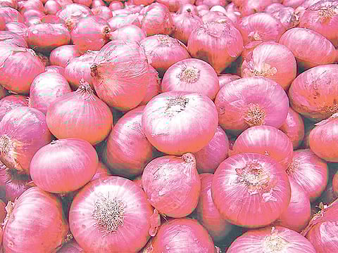 Chinese onion demand soar in Nepal