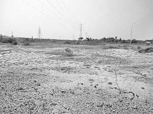 பாழ்நிலப் பகுதியை பாதுகாக்க கோரிக்கை