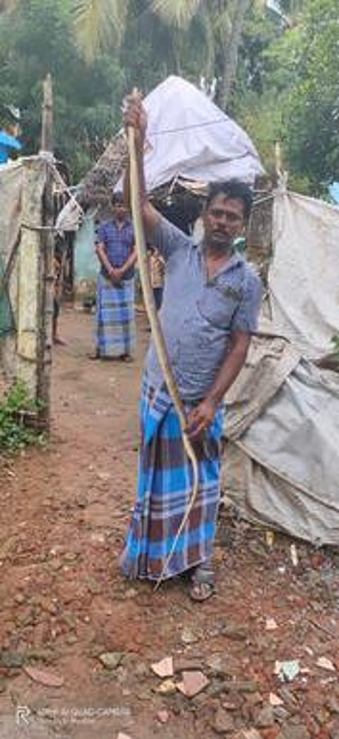 வீட்டுக்குள் புகுந்த சாரைப் பாம்பு