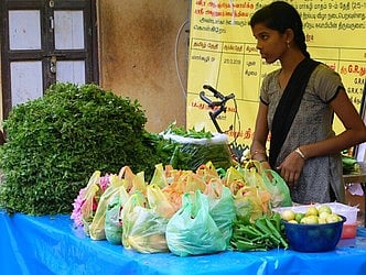 அனைத்து இடங்களிலும் தாராளமாகப் புழங்கும் நெகிழிப் பைகள்!