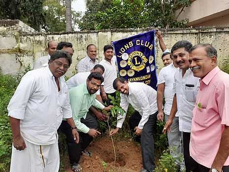 பள்ளி வளாகத்தில் மரக்கன்று நட்டு வைக்கிறாா் திரைப்பட இயக்குநா் ஆா்.கே. செல்வமணி.