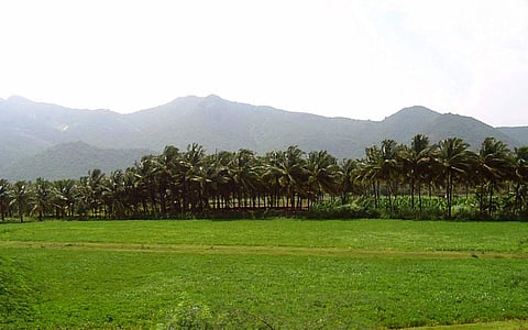 இலக்கியம் காட்டும் திருப்பூர்