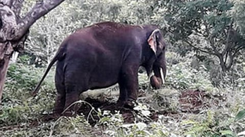 கோப்புப் படம்