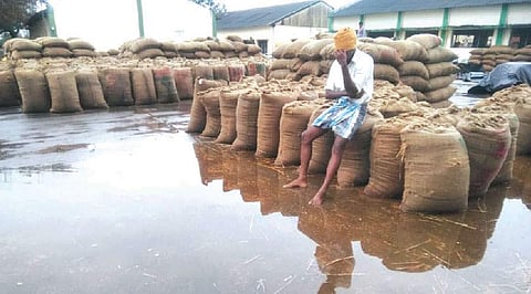 விருத்தாசலத்தில் திடீர் மழை: 10 ஆயிரம் நெல் மூட்டைகள் சேதம்!