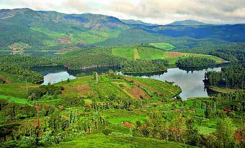 நீலகிரியில் தீர்வு காண முடியாமல் தொடரும் பிரச்னை