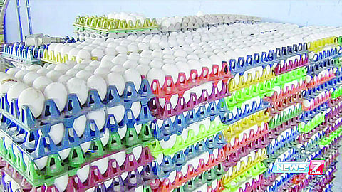 முட்டை விலை ஒரே நாளில் 20 காசுகள் உயா்வு