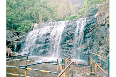 தேனி மாவட்டம் கம்பம் அருகே உள்ள சுருளி அருவியில் வெள்ளிக்கிழமை ஏற்பட்டுள்ள நீர்வரத்து.