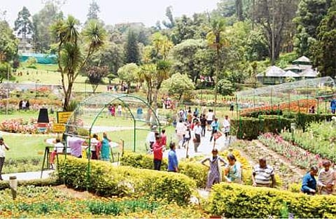 கொடைக்கானல் செல்ல திட்டமிடுவோர் கவனத்துக்கு!