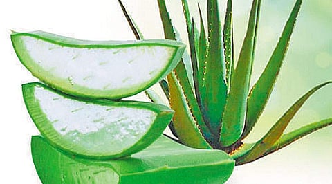 வேனல் கட்டியிலிருந்து தற்காத்துக் கொள்ள!