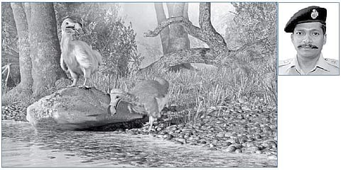 இயற்கை ஒர் அழகான இல்லம்!