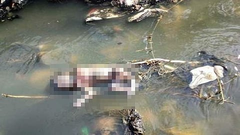 கால்வாயில் இருந்து பச்சிளம் பெண் குழந்தையின் சடலம் மீட்பு