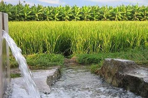 மேல்நிலை வகுப்பில் வேளாண்மை தொழிற்கல்வி படிப்பு சீரமைக்கப்படுமா?