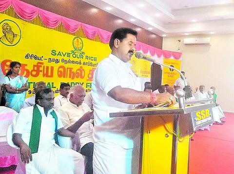 திருத்துறைப்பூண்டியில் தொடங்கியது நெல் திருவிழா