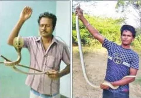 பாம்புகளின் "நண்பன்' பாண்டியன்..