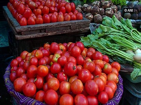 தக்காளி காய்கறி வகையா? பழ வகையா?