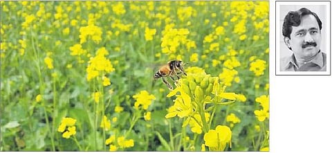 அறிவார்ந்து சிந்திக்கத் தயாராகுங்கள்! விஞ்ஞானி வெ. பொன்ராஜ் (அப்துல்கலாமின் முன்னாள் அறிவியல் ஆலோசகர்)
