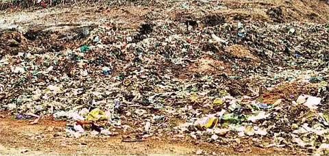 தூய்மை நகரமாகுமா மயிலாடுதுறை?