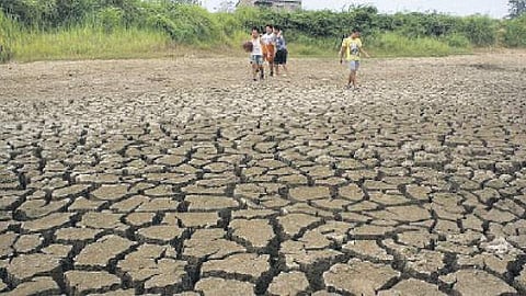 தமிழகத்தில் 10 ஆண்டுகளாக புனரமைக்கப்படாத ஏரிகள் கணக்கெடுக்கும் பணி துவங்கியது!