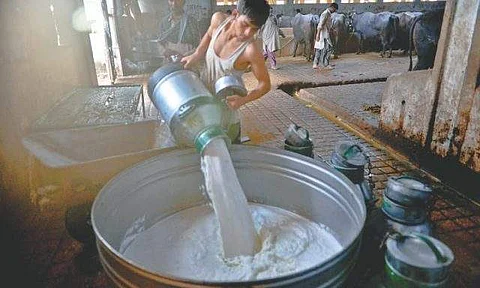 பால் விலை பெட்ரோல் விலையை விட அதிகம் இங்கே?!