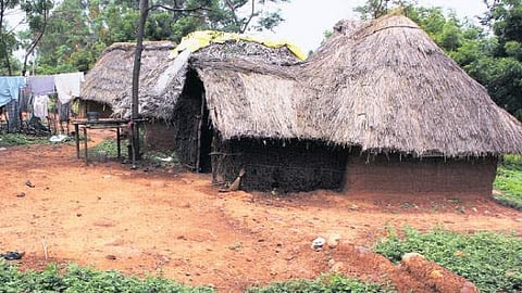 அடிப்படை வசதியின்றி: இருளில் தவிக்கும் இருளர் இன மக்கள்