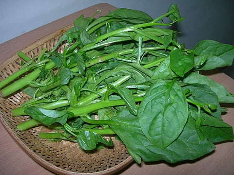 பசலைக்கீரை